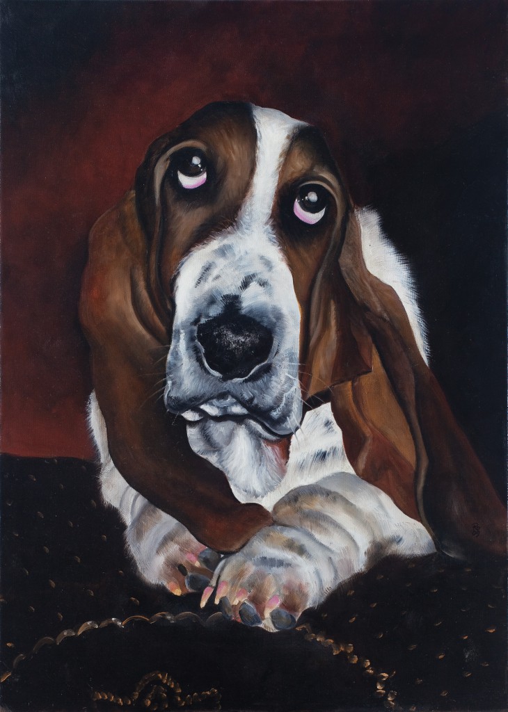 28_Anche-i-cani