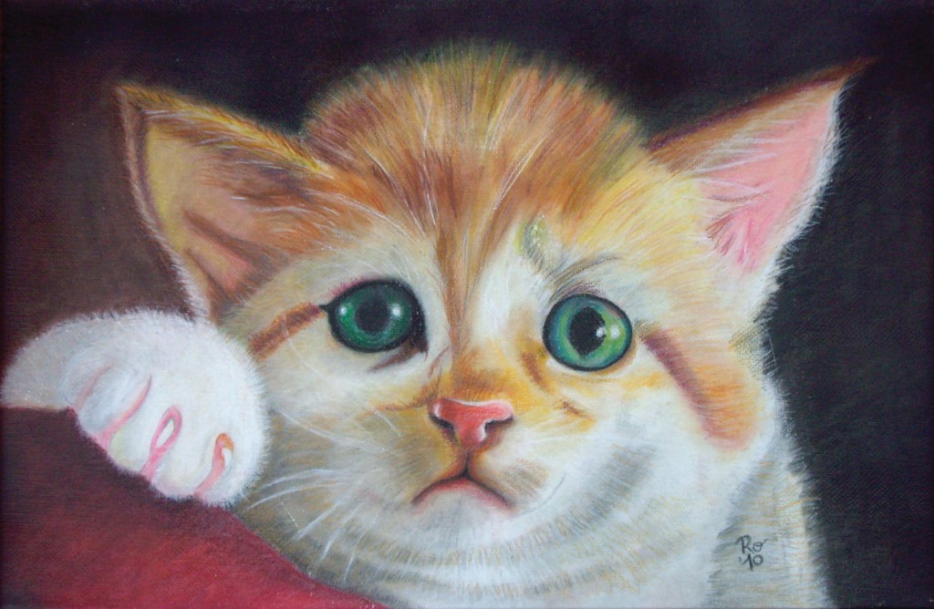 38_Anche-i-gatti